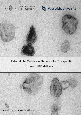 Nieuwe therapieën van kleine deeltjes: onderzoek naar extracellulaire blaasjes als medicijnafgiftemiddelen