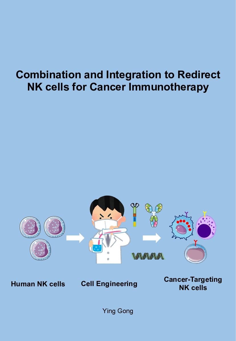 Nieuwe generatie Natural Killercellen veelbelovend voor toekomstige kankerbehandelingen