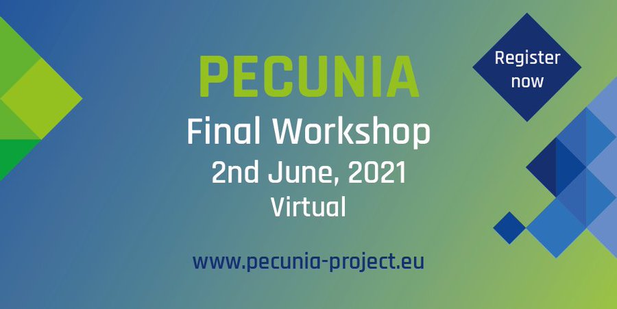 PECUNIA Virtual Final Workshop